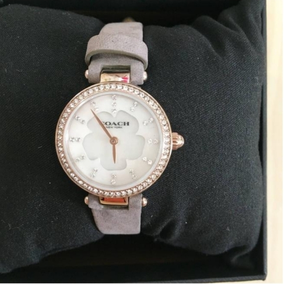 Coach Mother of Pearl Dial Watch - Picture 5 of 8